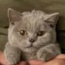 Jphv7777's profile picture