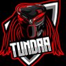 Фото профиля Tundra