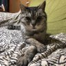 俺は梱包辞めたぞ!! profil fotoğrafı