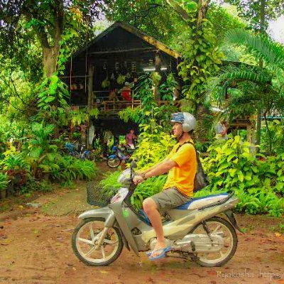 10max🇻🇳 | 旅とベトナム's profile picture