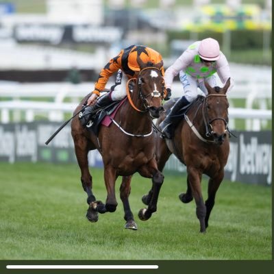 Henry de Bromhead's profile picture