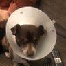 Profilbild von Rudy