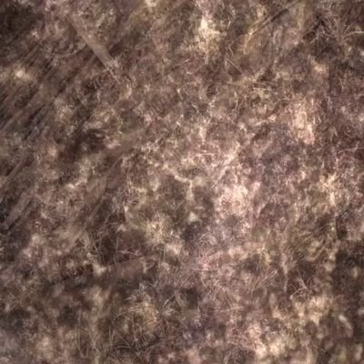 cj_prin's profile picture