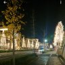 Akitoyo profil fotoğrafı