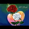 من الزمن الجميل 的头像