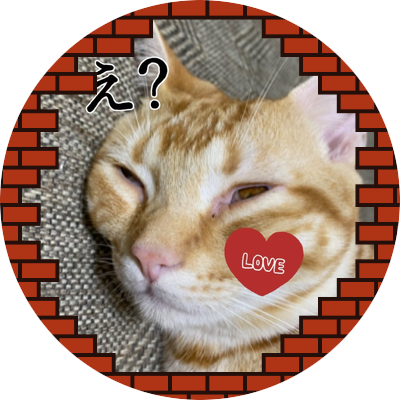 vpn加速器's profile picture