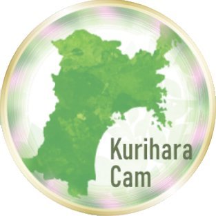 KuriharaCamera's profile picture
