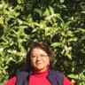 merih şeki özdoğan's profile picture
