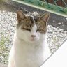 落いったー! 的头像