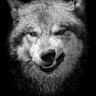 Фото профиля Juan Carlos Urrea