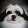 Profilbild von Bill
