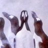 パネルの人 的头像