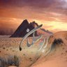 قامع's profile picture