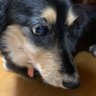 ハッピー's profile picture