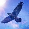 PKK2019's profile picture