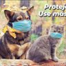 Guramoro2021 profil fotoğrafı