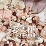 文少 的头像