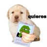 Profilbild von 🕐HOURLY🕑 shitpost