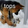 Naughty Shepherd!'s profile picture