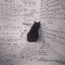 Schrodinger’s cat profil fotoğrafı