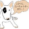 紅緒 profil fotoğrafı