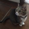 潤さん。 的头像