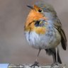 Jim Quakenbusch profil fotoğrafı