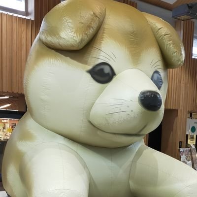 青's profile picture