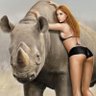 Gray-Rhino's profile picture
