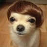 Фото профиля Señior Woofers