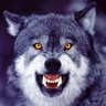 Profilbild von Ularis Badler