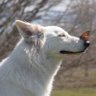 かおる profil fotoğrafı