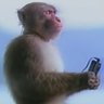 Raghad|˘ᵔ˘̩'s profile picture