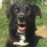 Explodogmax's profile picture