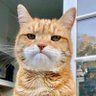 Cute bosonia - BOSON DE HIGGS spouse's profile picture