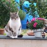 Mariarosaria profil fotoğrafı