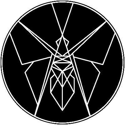 amberluvsbugs's profile picture