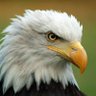Фото профиля Freedom1