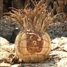 Jose zenitram's profile picture