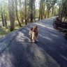 Lorraine ( LOL)'s profile picture
