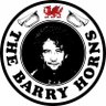 The Barry Horns profil fotoğrafı