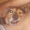 Profilbild von sSheeNn