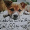 Profilbild von Paqui