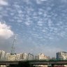Фото профиля conchonoa