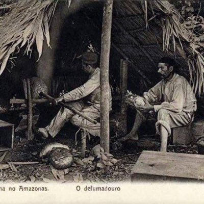 Manaus de antigamente's profile picture