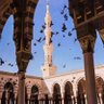 نوره الحربي's profile picture