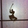 JustAnOldGuy's profile picture