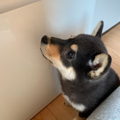 15_run0810's profile picture