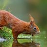 Фото профиля Damian Walker