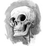 τι; profil fotoğrafı